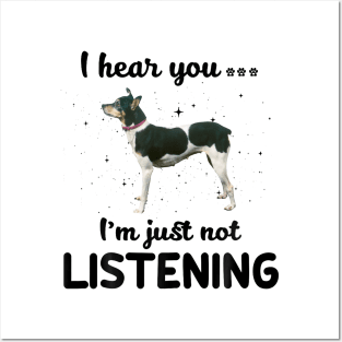 Rat Terrier I hear you Iam just not listening Posters and Art